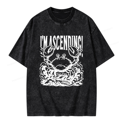 Pagewings I'm Ascending Vintage Unisex Washed T-shirt
