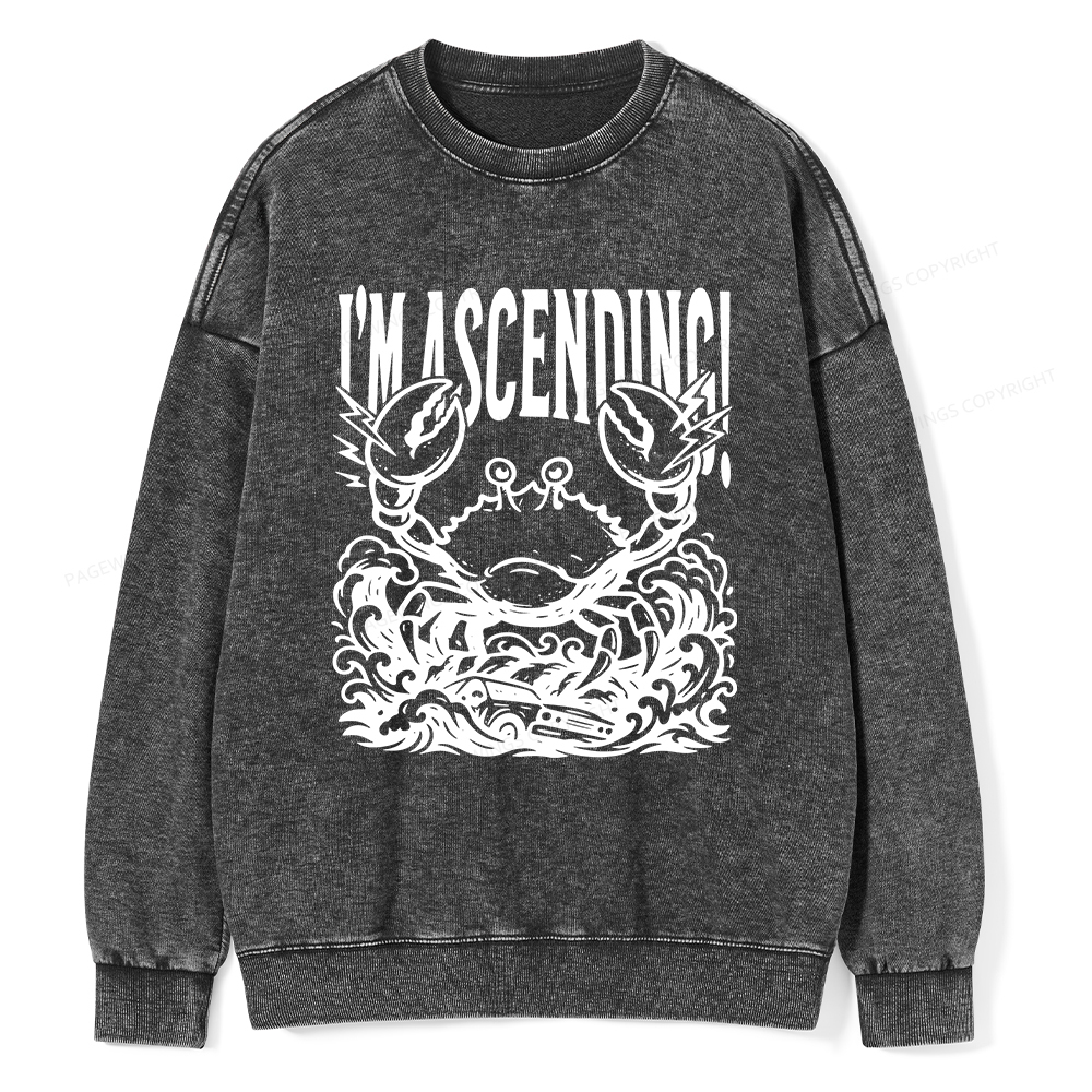 Pagewings I'm Ascending Vintage Unisex Washed Sweatshirt