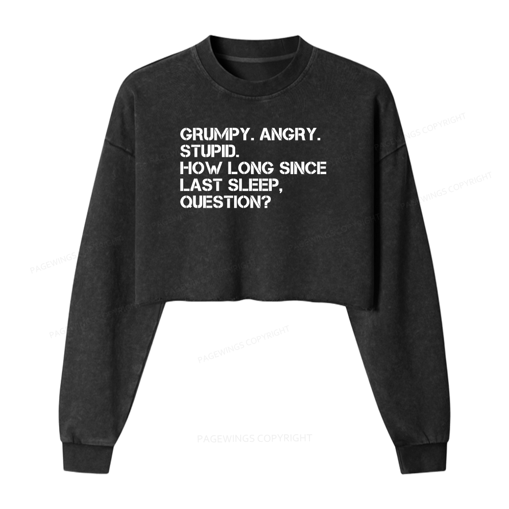 Pagewings Grumpy Rocky Quote Washed Crop Sweatshirt