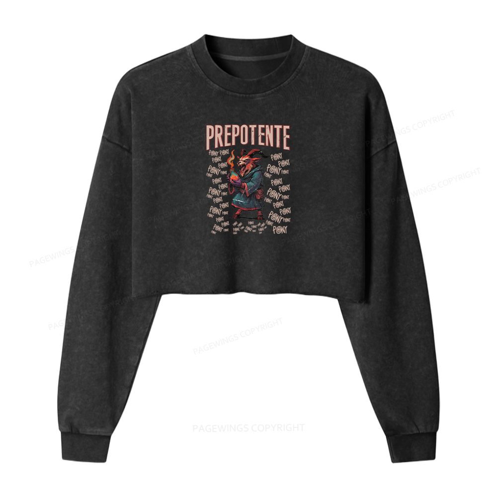 Pagewings Prepotente Washed Crop Sweatshirt