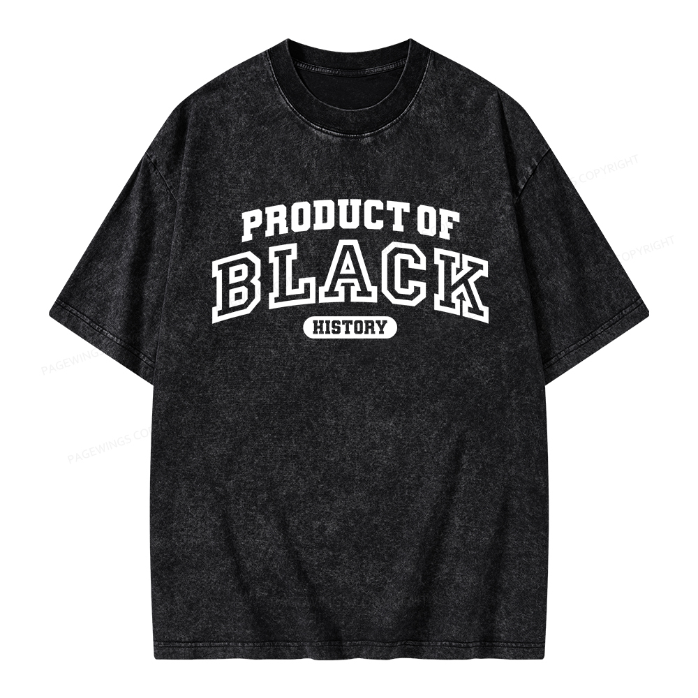 Pagewings Product of Black History Unisex Washed T-shirt