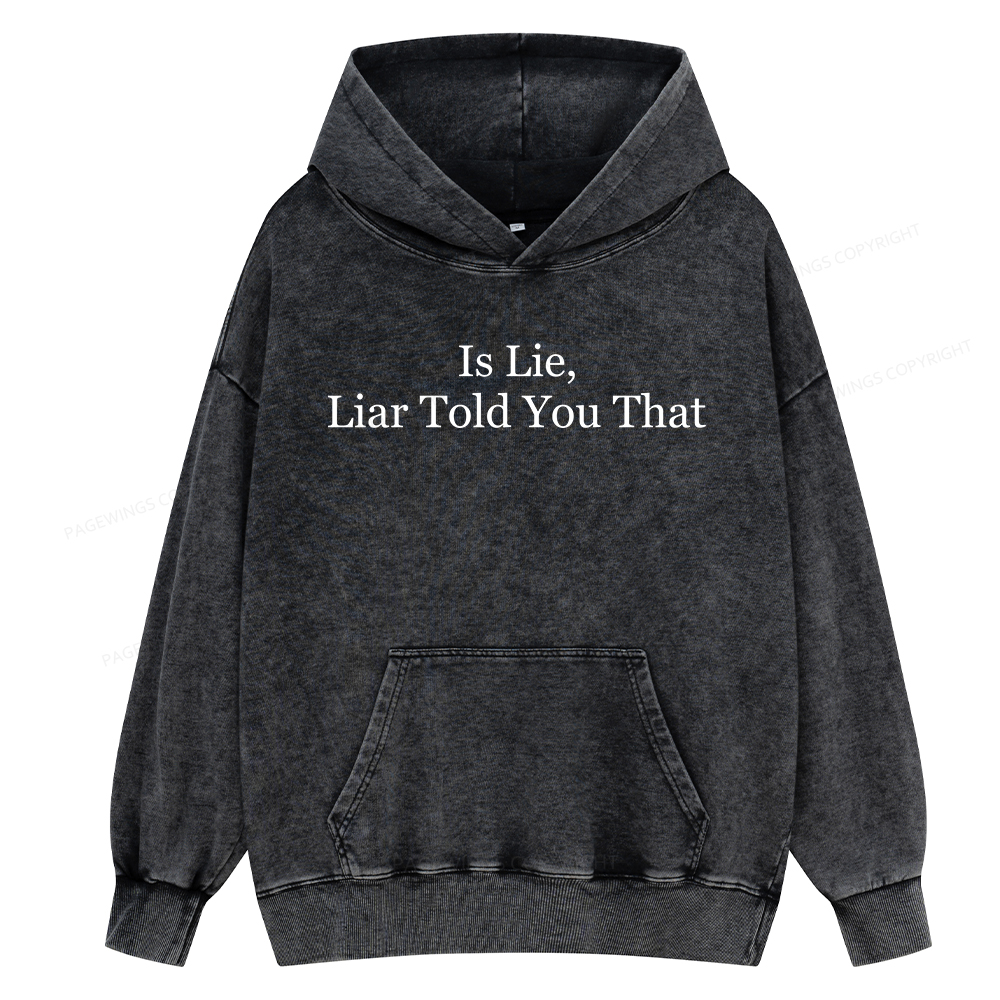 Pagewings Is Lie Liar Told You That Unisex Washed Hoodie