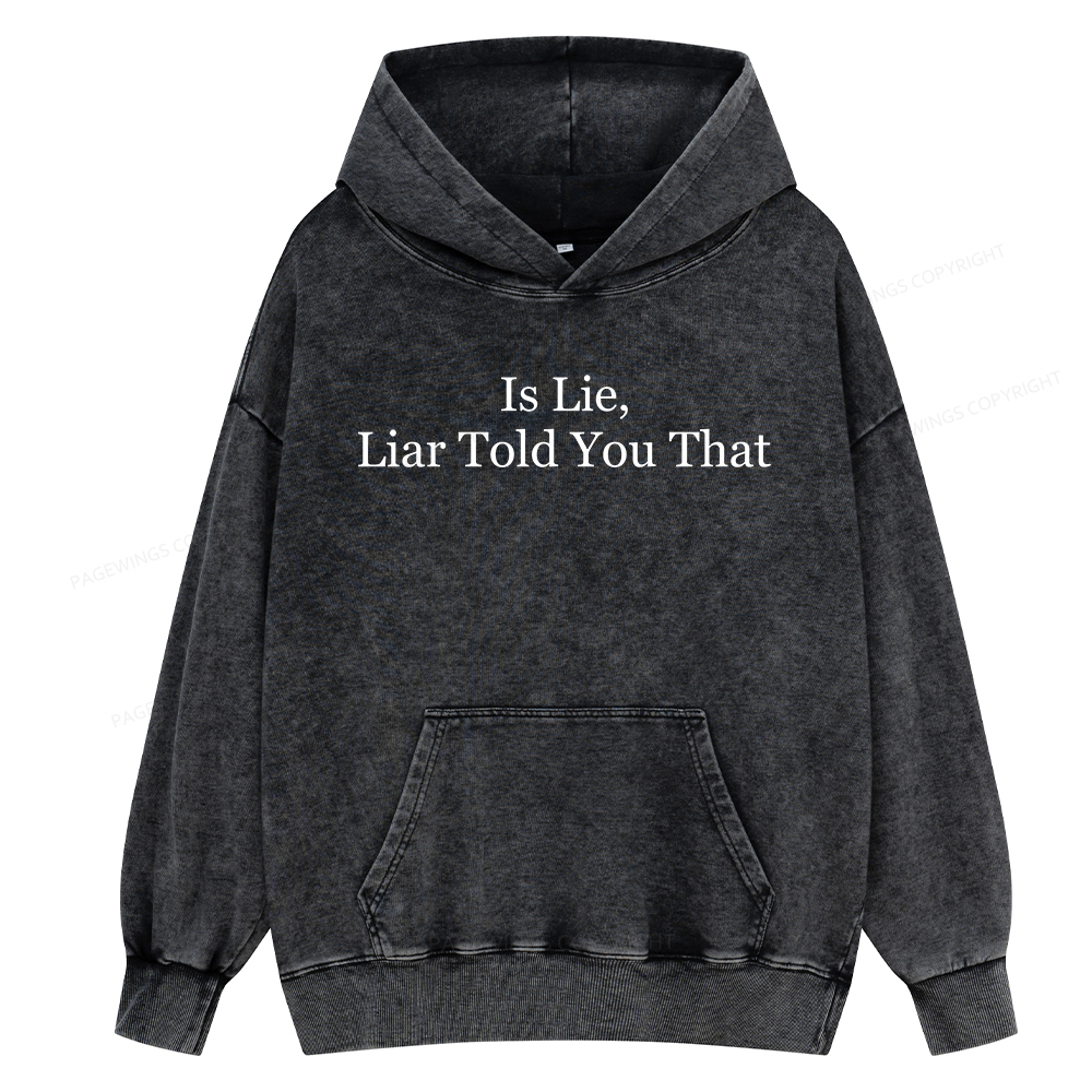 Pagewings Is Lie Liar Told You That Unisex Washed Hoodie