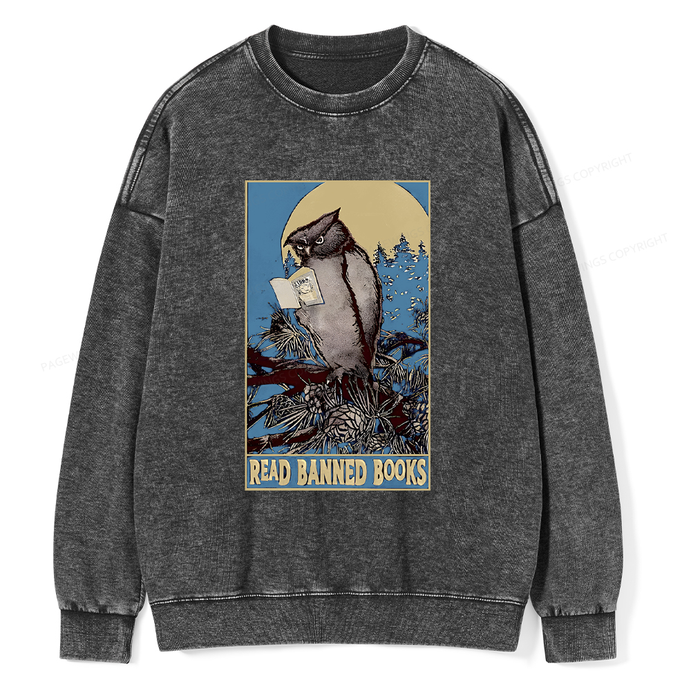 Pagewings Owl Read Banned Books Washed Sweatshirt