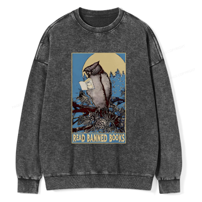 Pagewings Owl Read Banned Books Washed Sweatshirt
