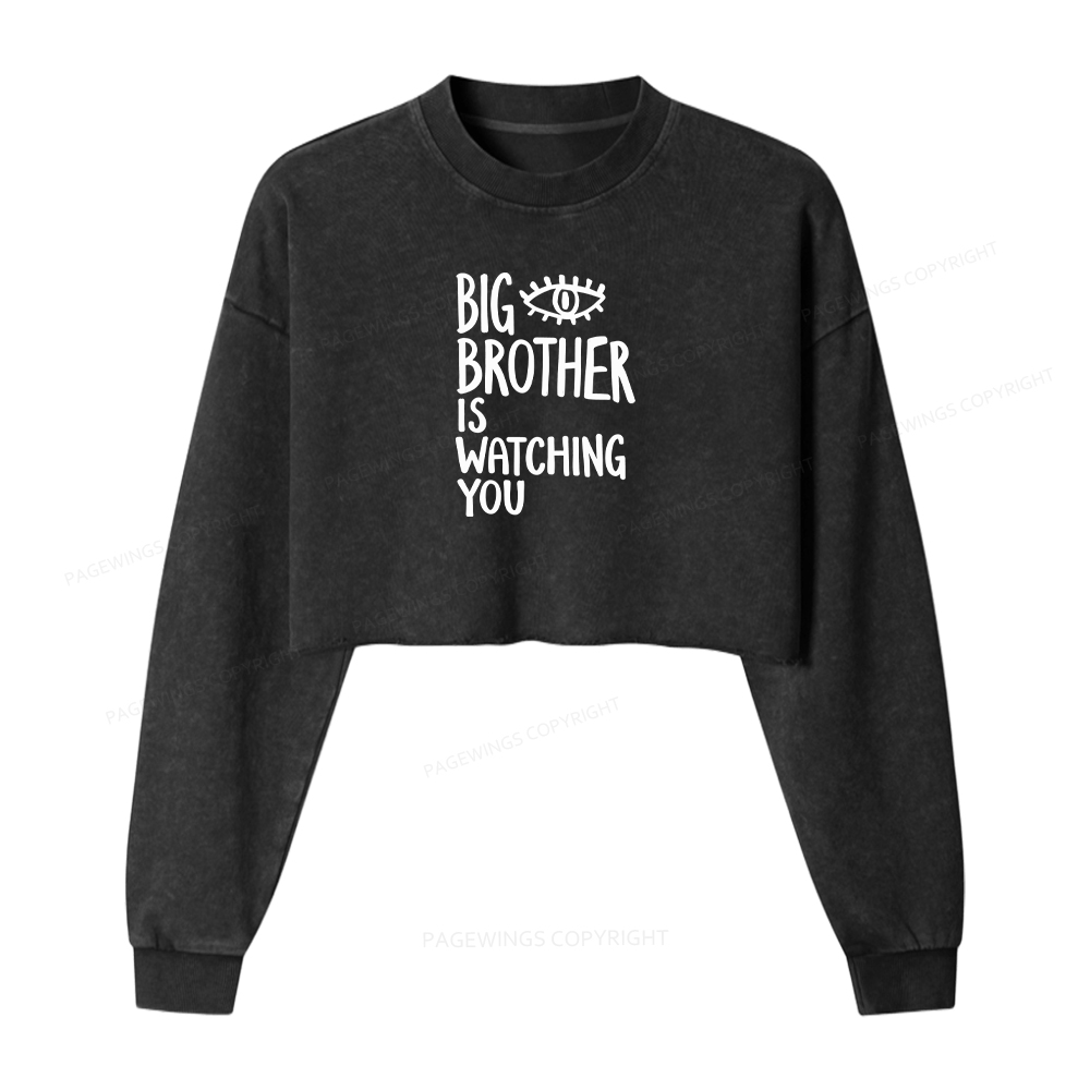 Pagewings Big Brother Is Watching You Washed Crop Sweatshirt