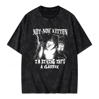 Pagewings Not Now Kitten I’m Diving Into A Classic Unisex Washed T-shirt