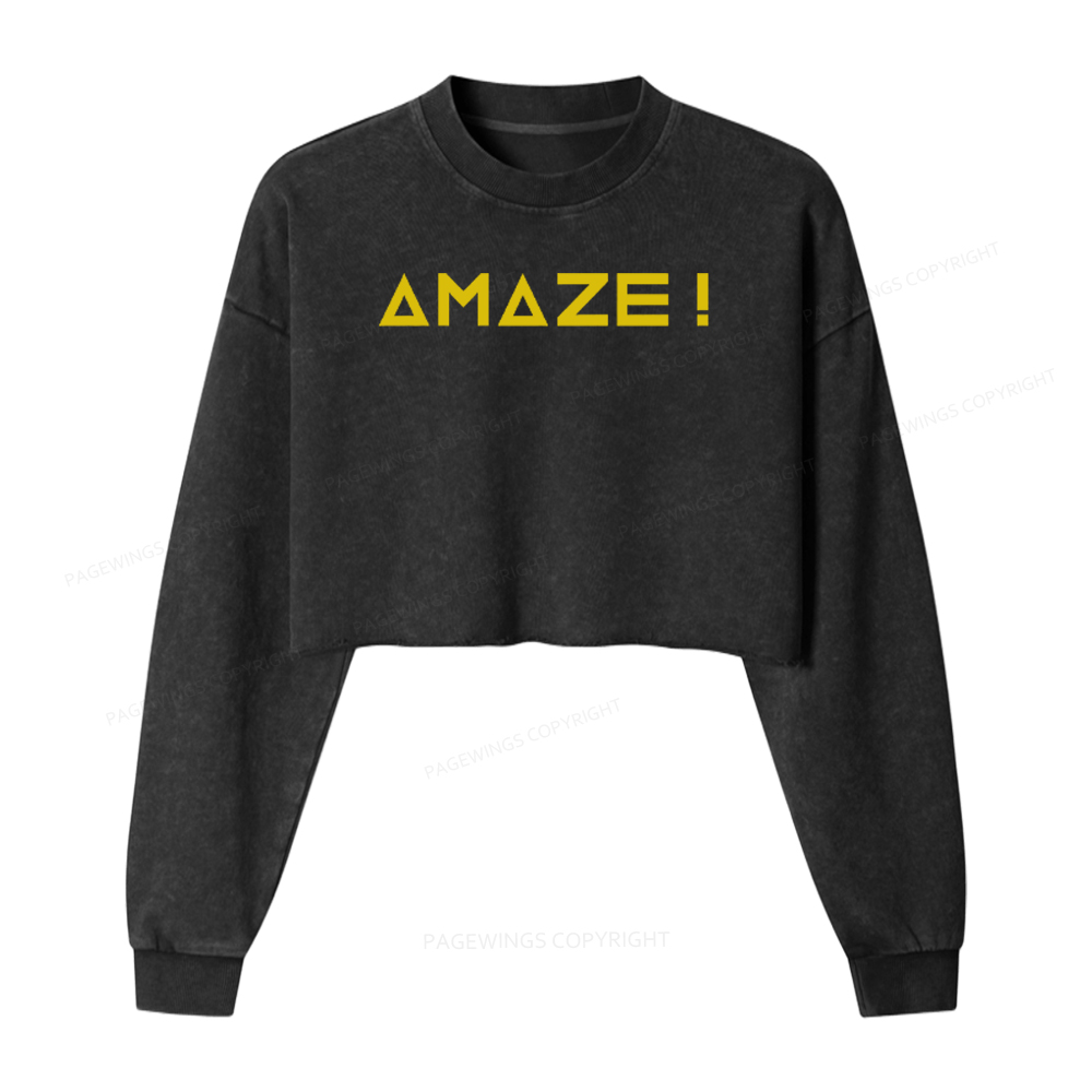 Pagewings Amaze Washed Crop Sweatshirt