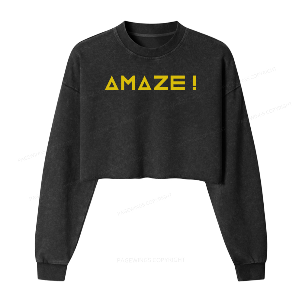 Pagewings Amaze Washed Crop Sweatshirt