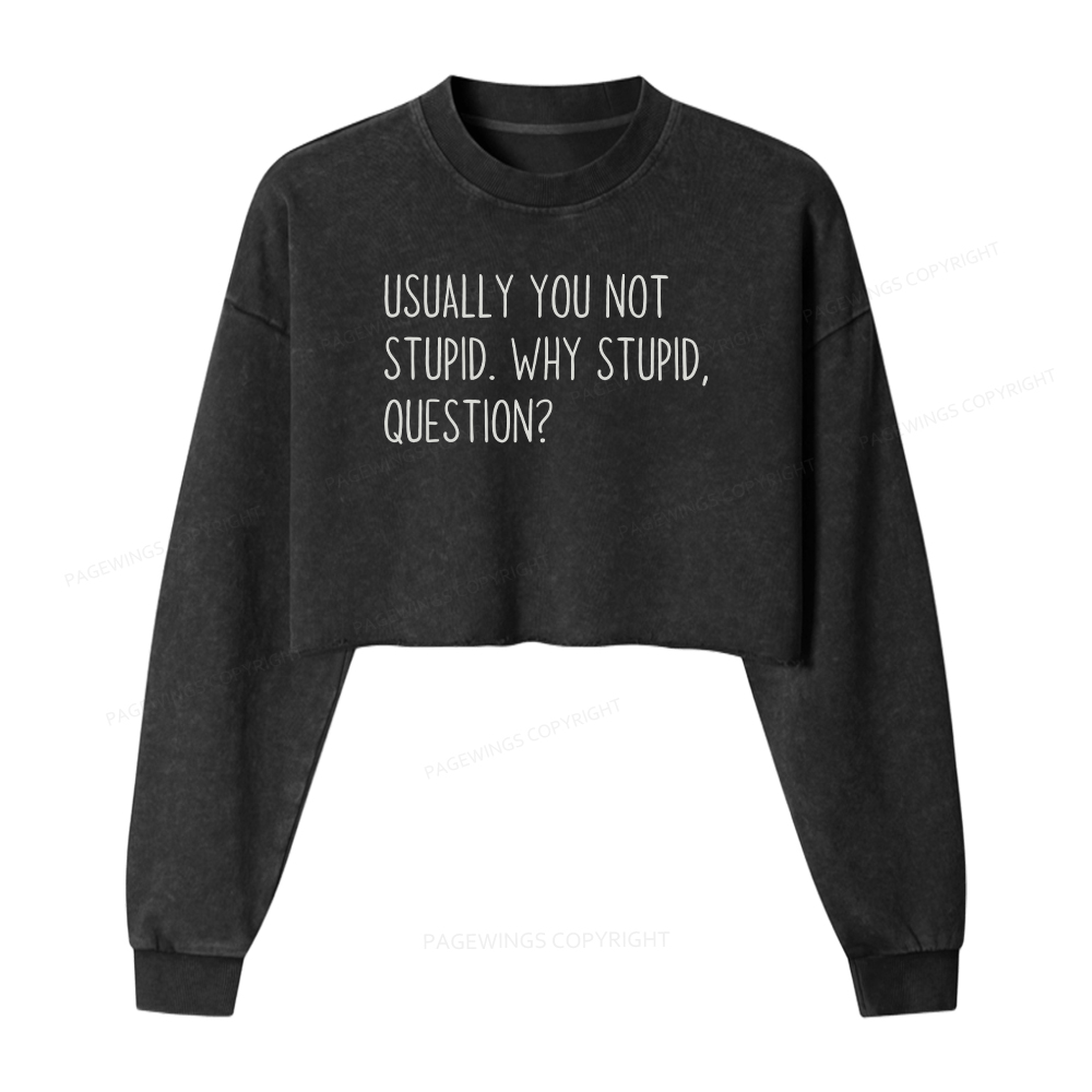 Pagewings Funny Rocky Quote Washed Crop Sweatshirt