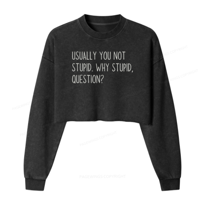 Pagewings Funny Rocky Quote Washed Crop Sweatshirt