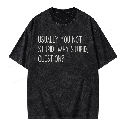 Pagewings Why Stupid Question Unisex Washed T-shirt