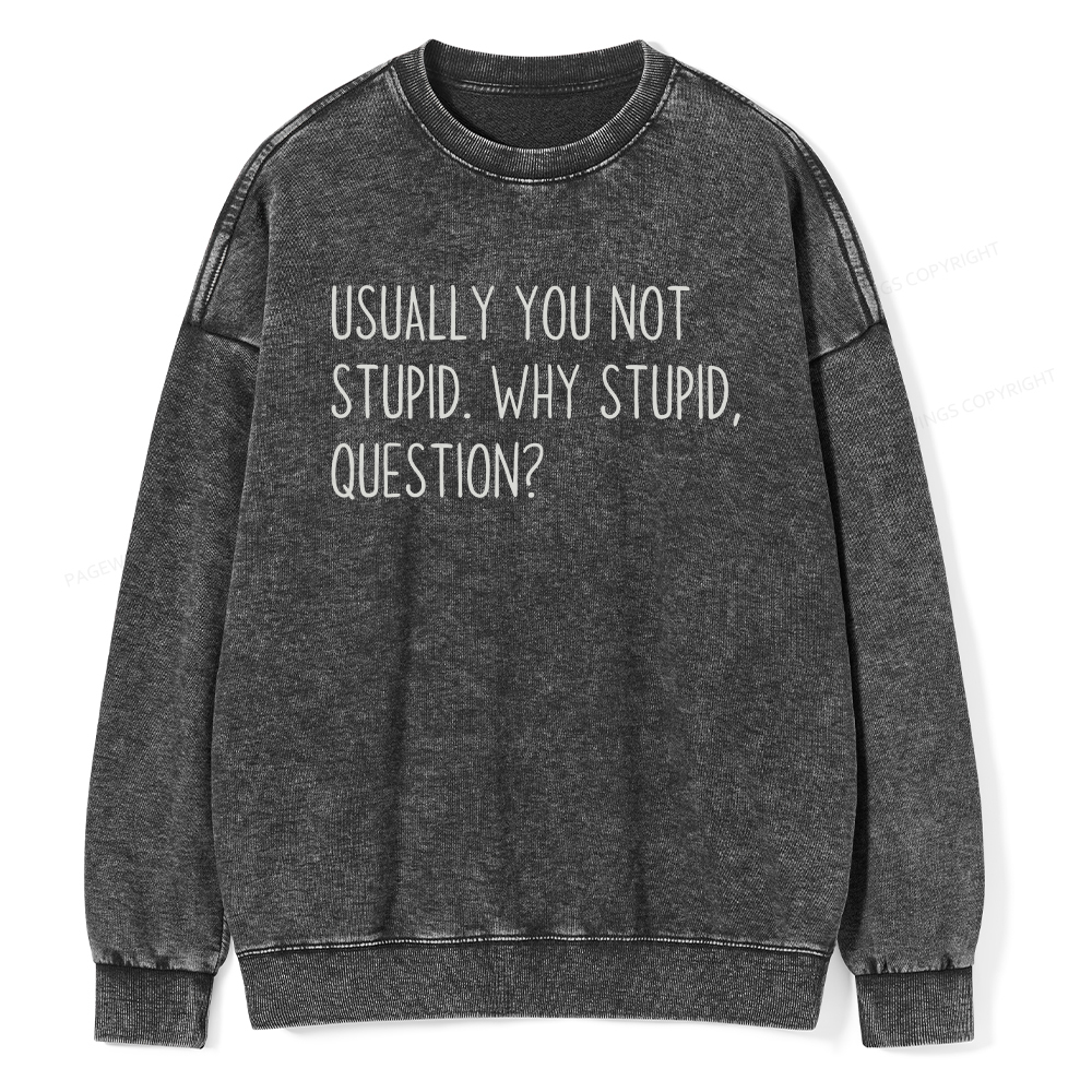 Pagewings Why Stupid Question Unisex Washed Sweatshirt