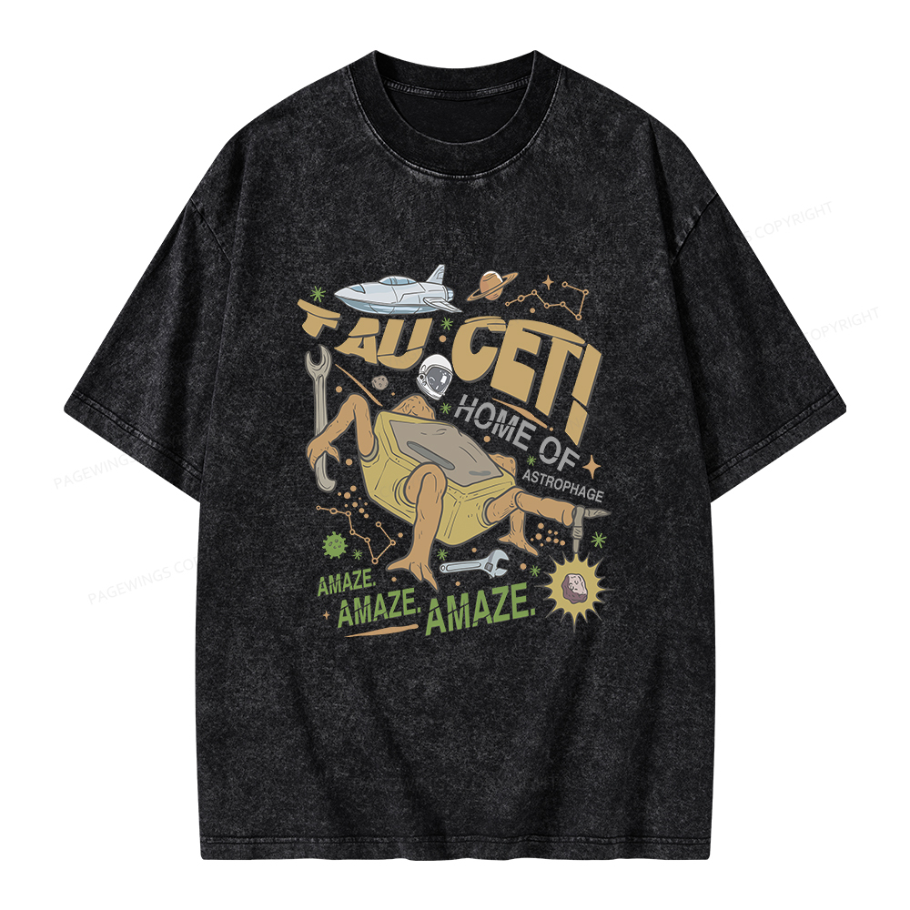 Pagewings Rocky Bookish Unisex Washed T-shirt