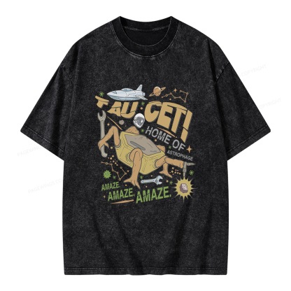 Pagewings Rocky Bookish Unisex Washed T-shirt