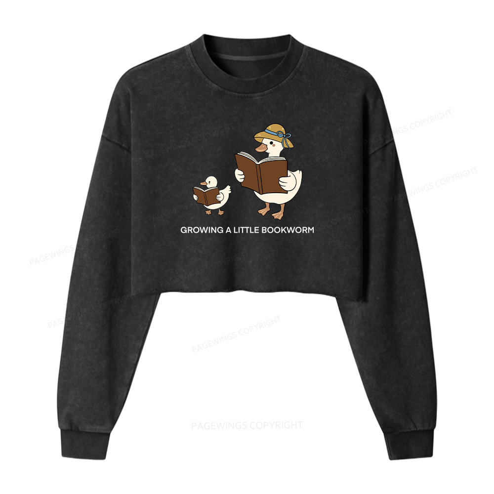 Pagewings Growing A Little Bookworm Washed Crop Sweatshirt