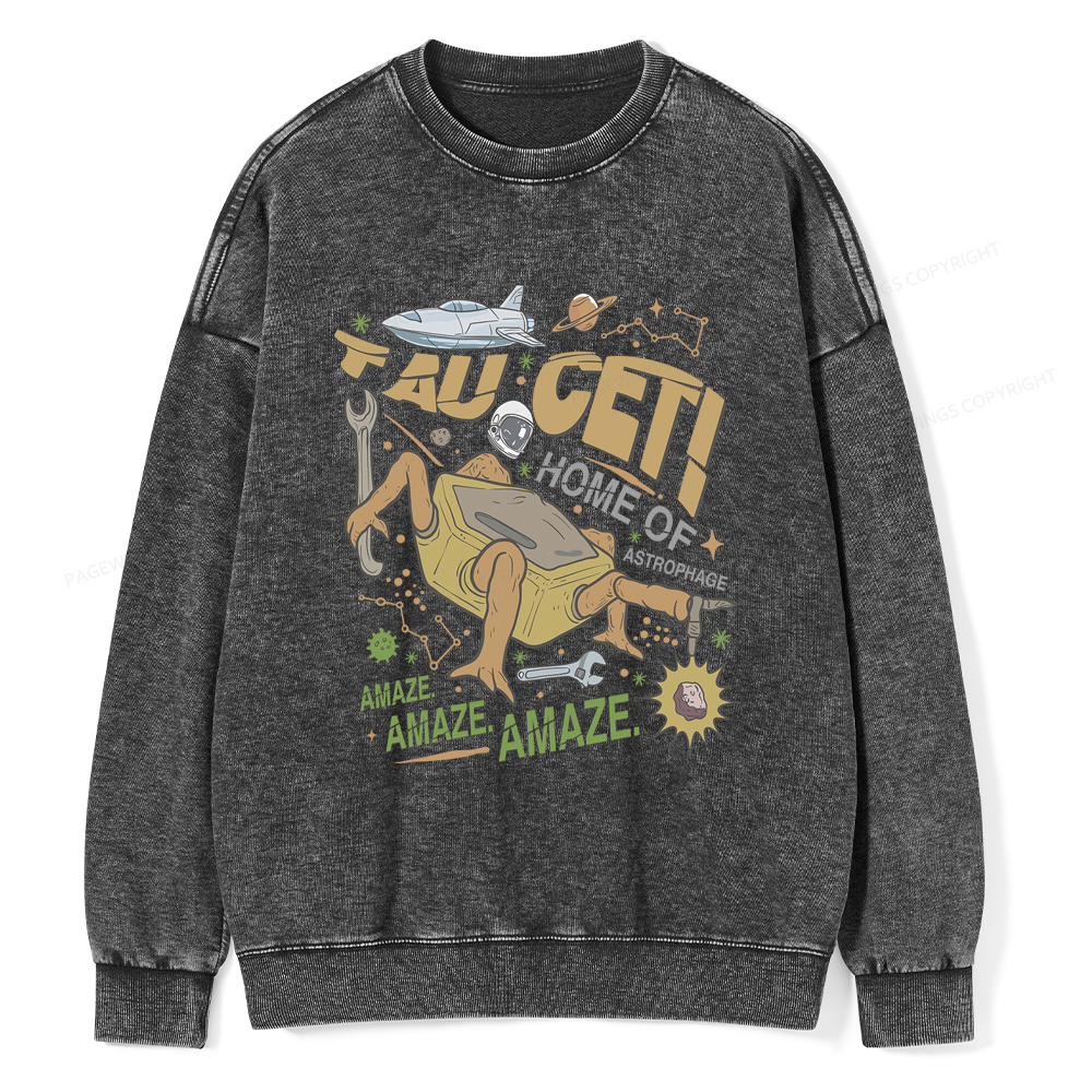 Pagewings Rocky Bookish Unisex Washed Sweatshirt
