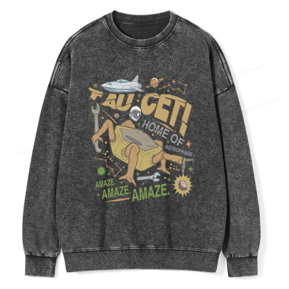 Pagewings Rocky Bookish Unisex Washed Sweatshirt
