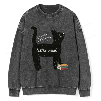 Pagewings Little Read Unisex Washed Sweatshirt