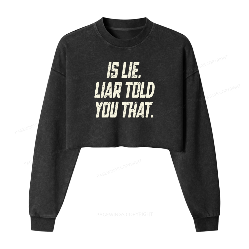 Pagewings Is Lie Liar Told You That Washed Crop Sweatshirt
