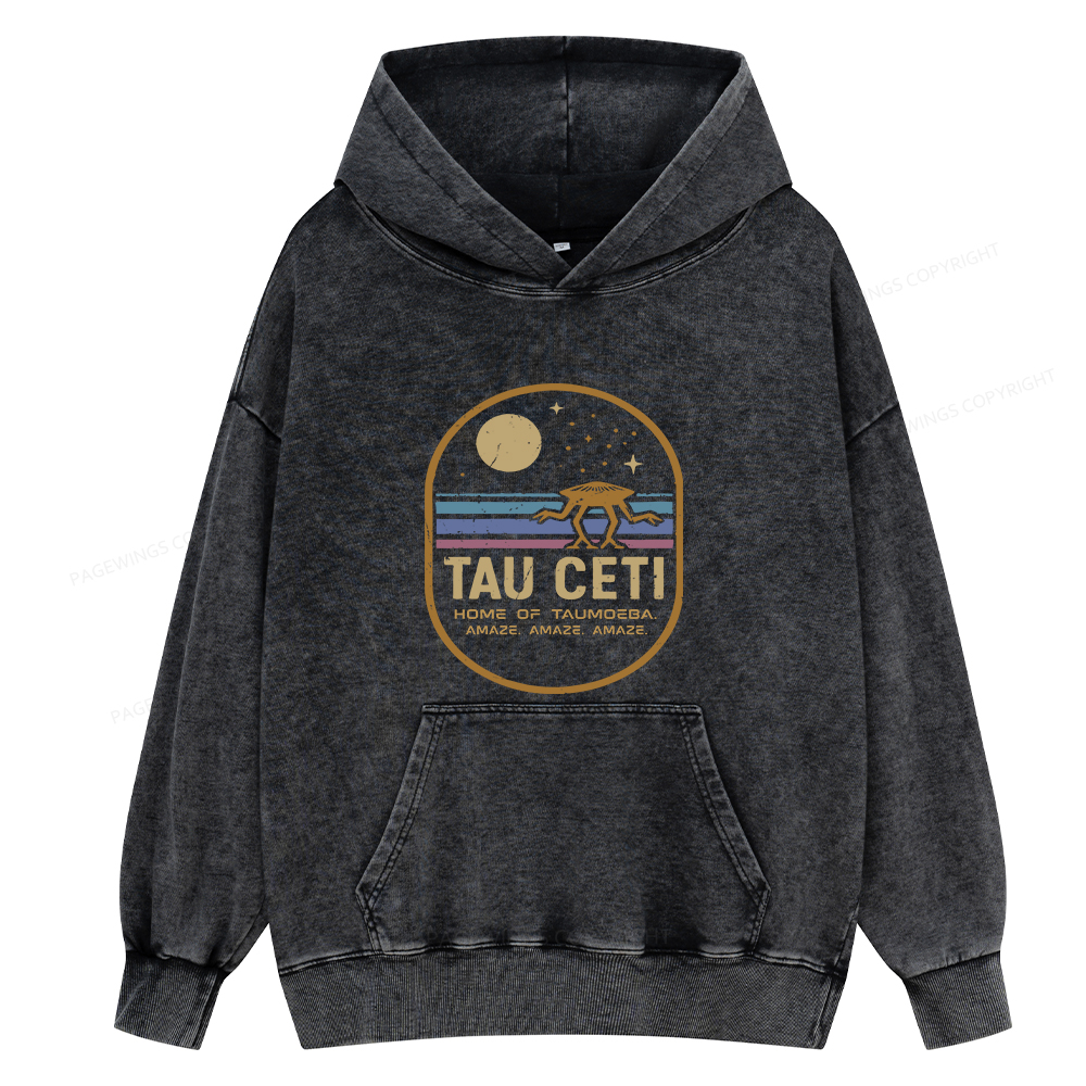 Pagewings Amaze Unisex Washed Hoodie