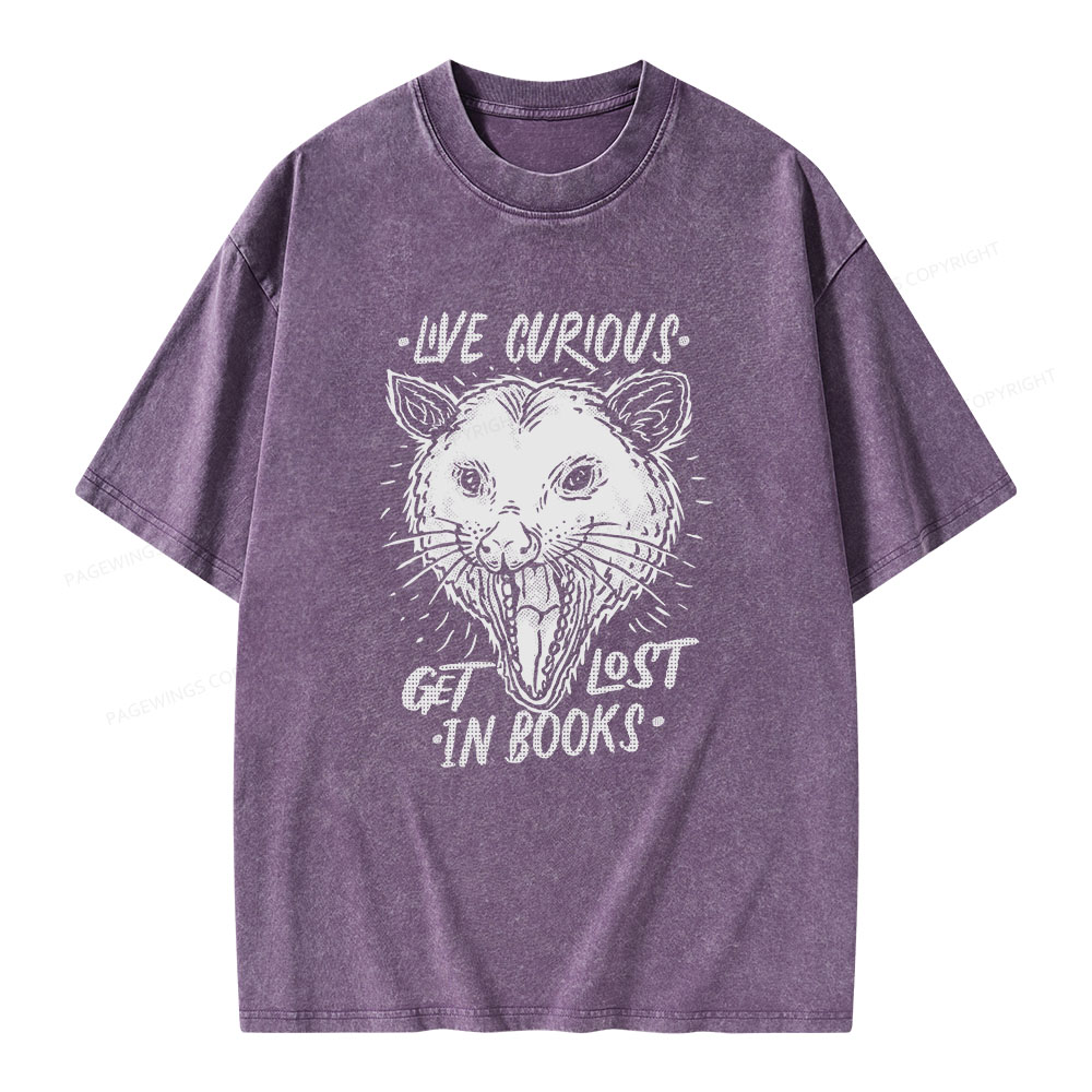 Pagewings Live Curious, Get Lost In Books Unisex Washed T-shirt