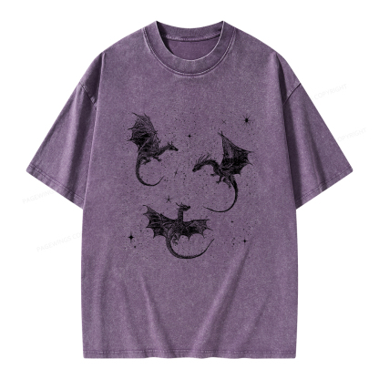 Pagewings Dragon Fantasy Unisex Washed T-shirt