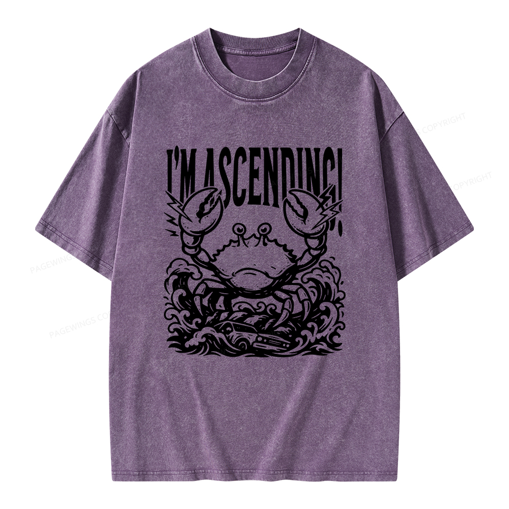Pagewings I'm Ascending Vintage Unisex Washed T-shirt
