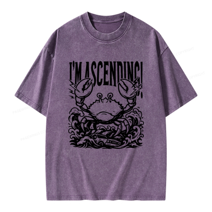 Pagewings I'm Ascending Vintage Unisex Washed T-shirt