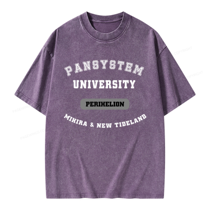 Pagewings Pansystem University Unisex Washed T-shirt