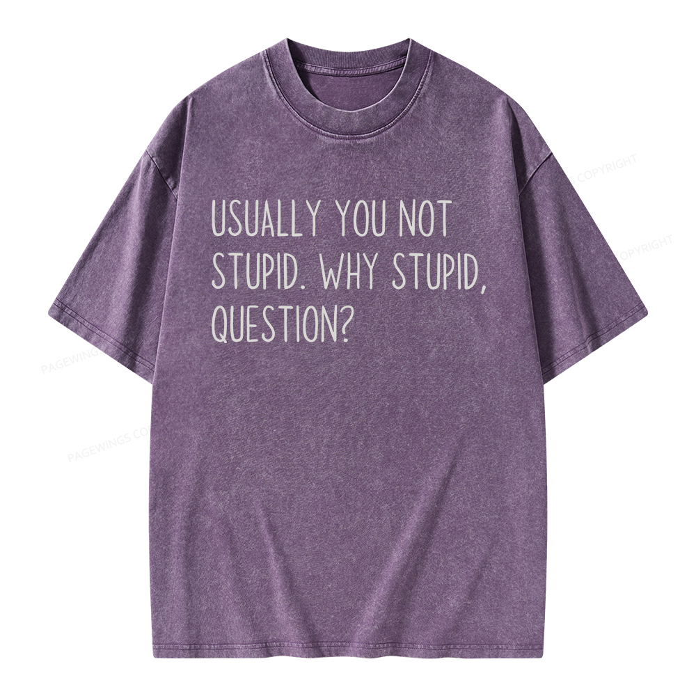 Pagewings Why Stupid Question Unisex Washed T-shirt
