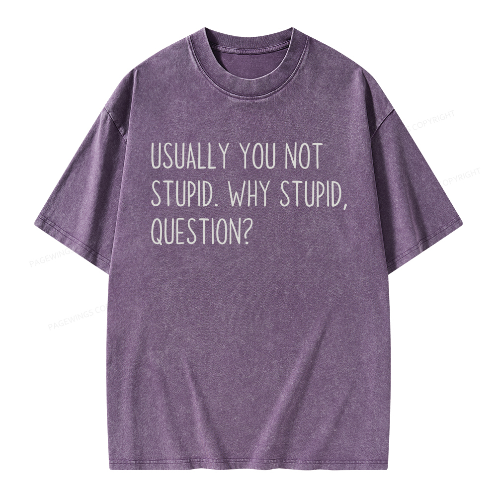 Pagewings Why Stupid Question Unisex Washed T-shirt