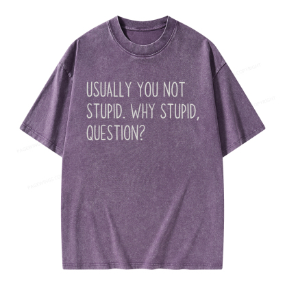 Pagewings Why Stupid Question Unisex Washed T-shirt