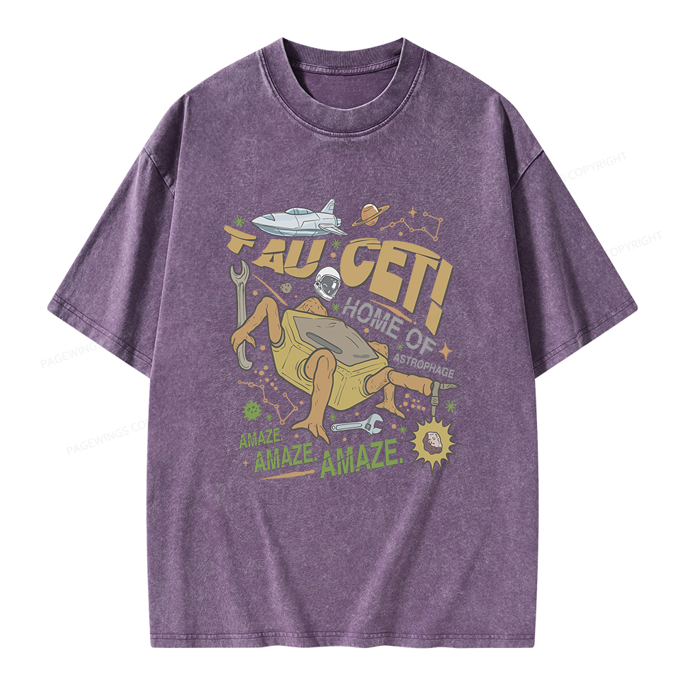 Pagewings Rocky Bookish Unisex Washed T-shirt