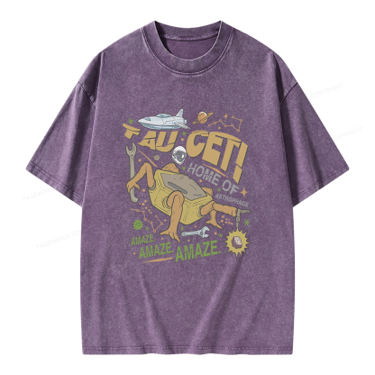 Pagewings Rocky Bookish Unisex Washed T-shirt