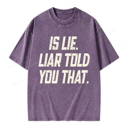 Pagewings Is Lie Liar Told You That Unisex Washed T-shirt