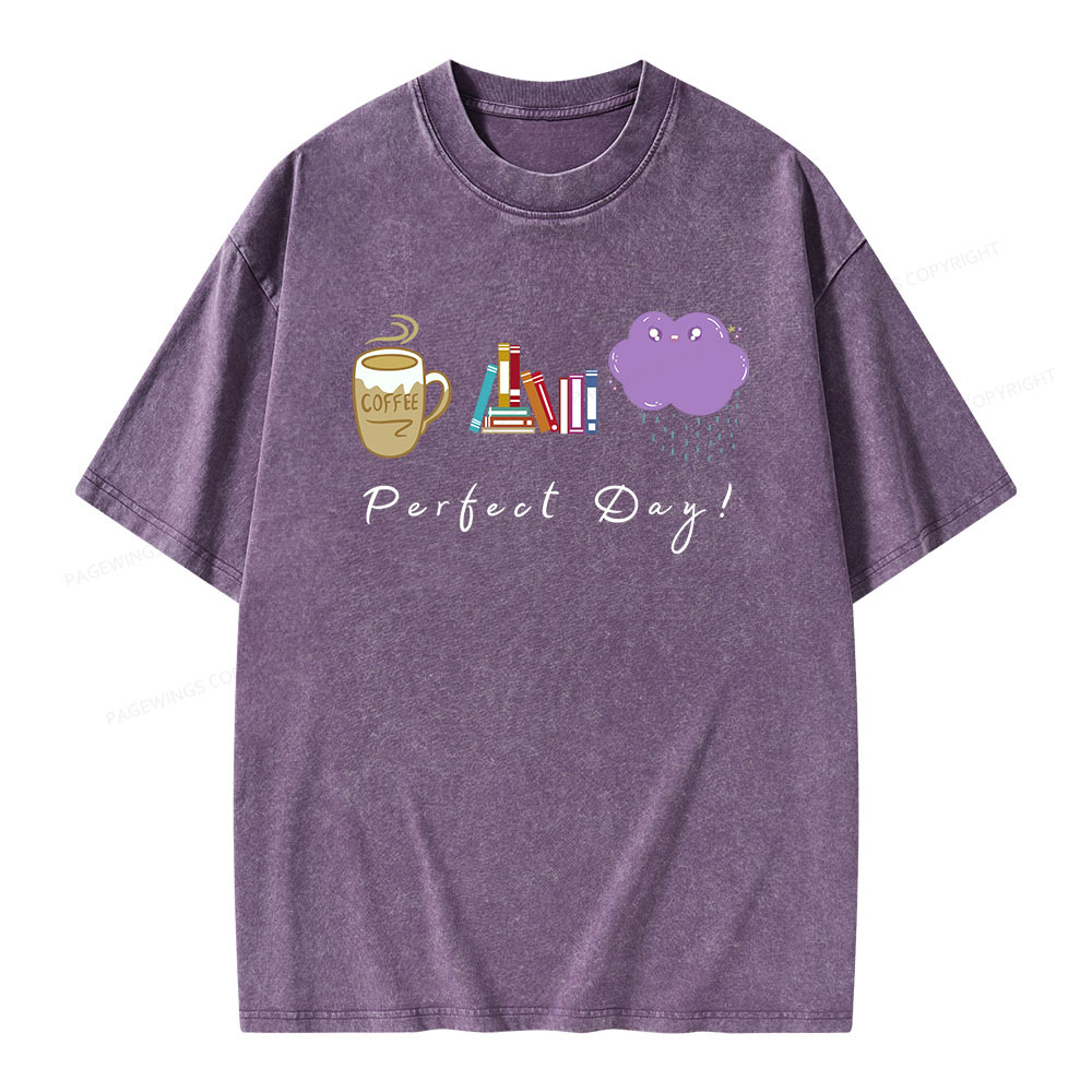 Pagewings Perfect Day Unisex Washed T-shirt