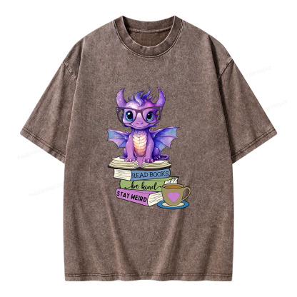 Pagewings Dragon Read Books Be Kind Stay Weird Unisex Washed T-shirt