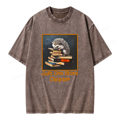 Pagewings Just One More Chapter Unisex Washed T-shirt