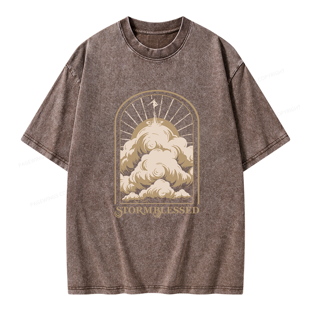 Pagewings Stormblessed Unisex Washed T-shirt