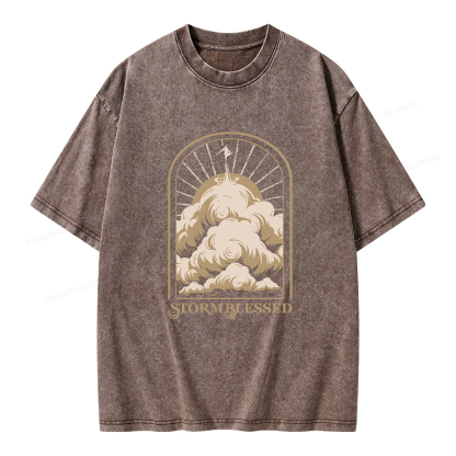Pagewings Stormblessed Unisex Washed T-shirt