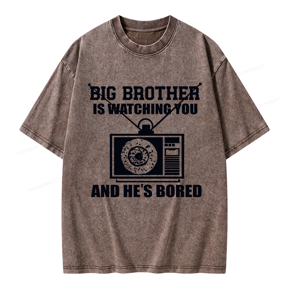 Pagewings Big Brother is Watching Unisex Washed T-shirt