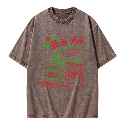 Pagewings Bookish Christmas Unisex Washed T-shirt