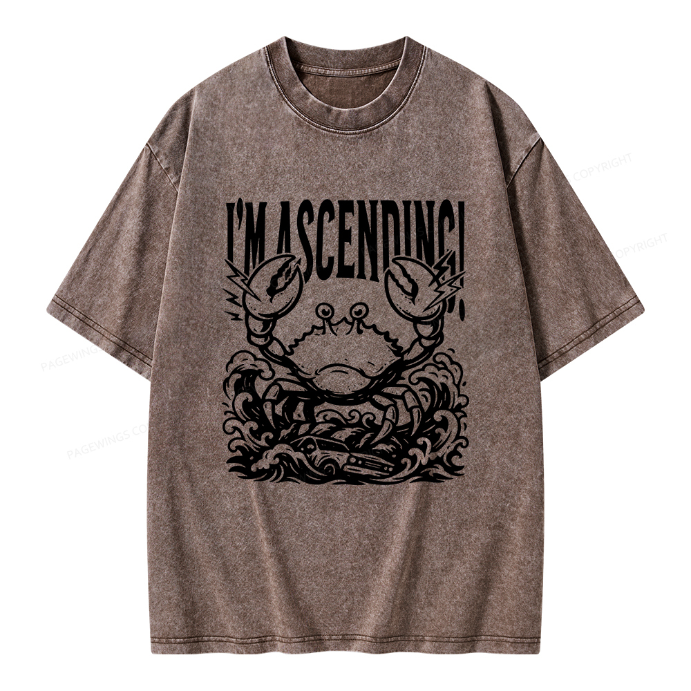 Pagewings I'm Ascending Vintage Unisex Washed T-shirt