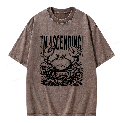 Pagewings I'm Ascending Vintage Unisex Washed T-shirt
