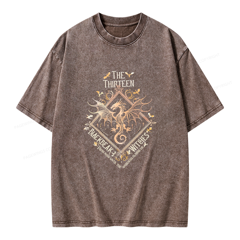 Pagewings The Thirteen Unisex Washed T-shirt