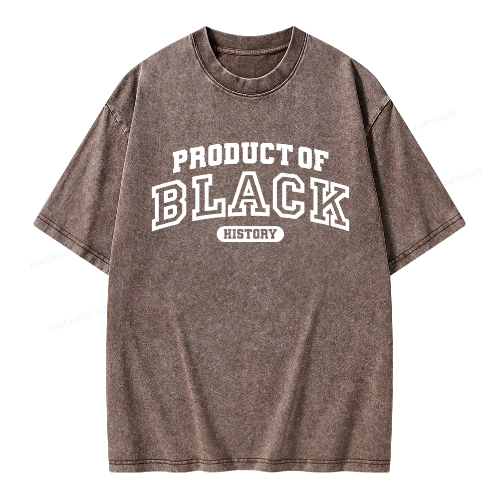 Pagewings Product of Black History Unisex Washed T-shirt