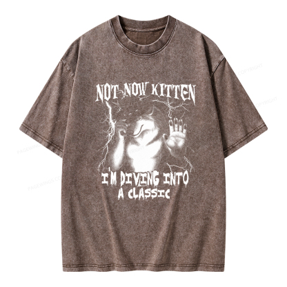 Pagewings Not Now Kitten I’m Diving Into A Classic Unisex Washed T-shirt