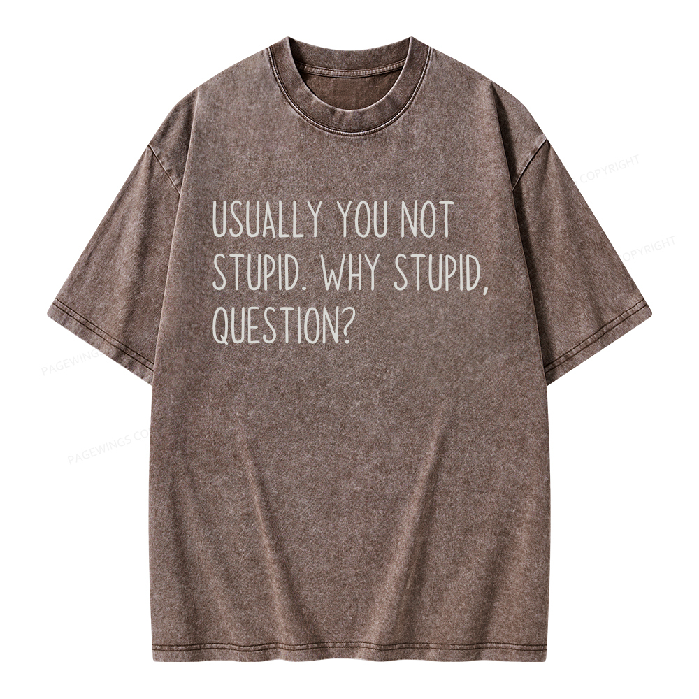 Pagewings Why Stupid Question Unisex Washed T-shirt