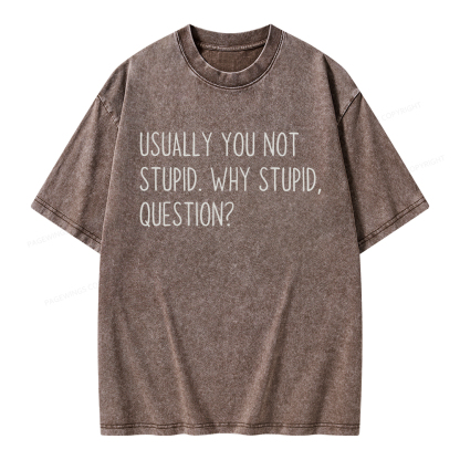 Pagewings Why Stupid Question Unisex Washed T-shirt